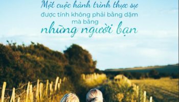 Kinh nghiệm đặt vé dịch vụ trên Divui