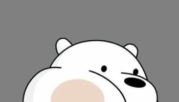 We bave bears%2B%252818%2529