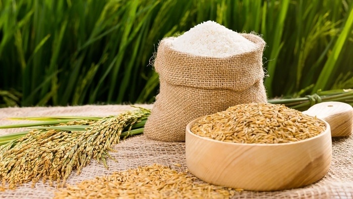 Giá gạo hôm nay 28/1 và tổng hợp tuần trước: Giá giảm mạnh, nhiều kho ngừng mua