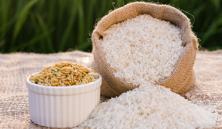 Giá gạo hôm nay 4/3/2022: duy trì diễn biến ổn định như hôm nay