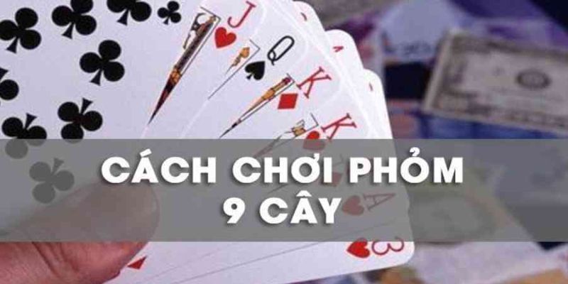 Cách chơi Phỏm 9 bài Bất bại - Lời khuyên từ chuyên gia