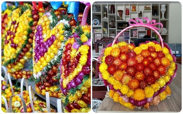 Hoa bất tử có ý nghĩa gì? Đặc điểm, cách trồng loài hoa không tàn