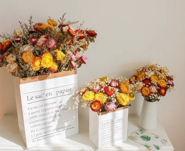 Hoa bất tử có ý nghĩa gì? Đặc điểm, cách trồng loài hoa không tàn